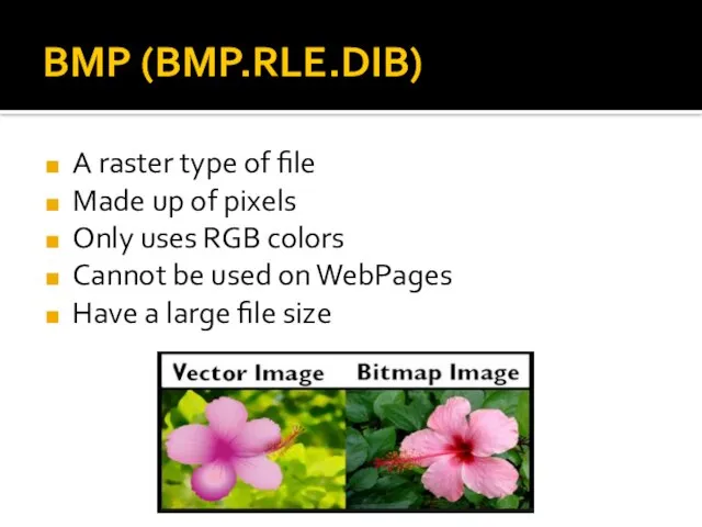 BMP (BMP.RLE.DIB) A raster type of file Made up of pixels Only