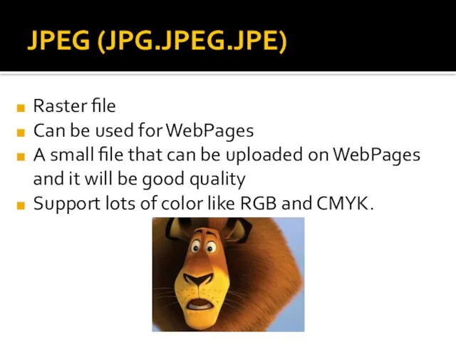 JPEG (JPG.JPEG.JPE) Raster file Can be used for WebPages A small file