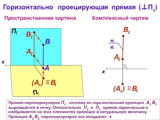 x Пространственная картина Комплексный чертеж A B Горизонтально проецирующая прямая (⊥П1) Прямая