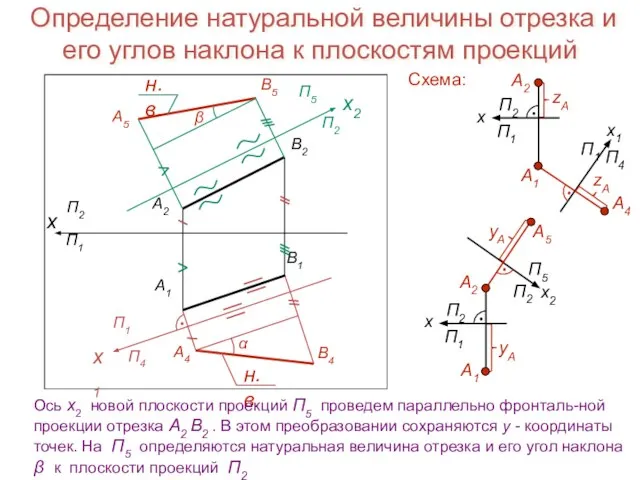 Определение натуральной величины отрезка и его углов наклона к плоскостям проекций x