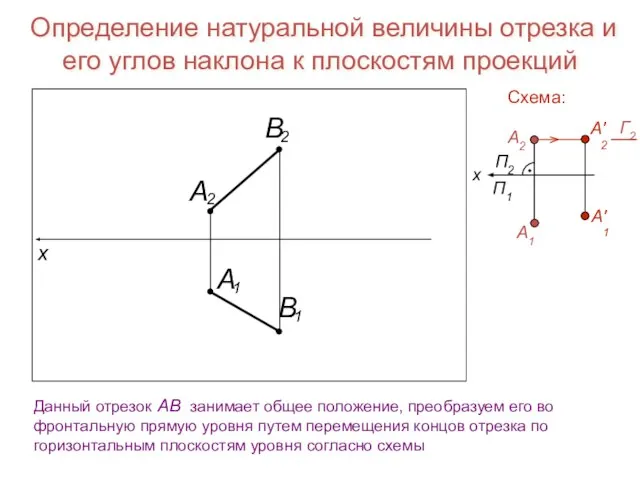 Определение натуральной величины отрезка и его углов наклона к плоскостям проекций Данный