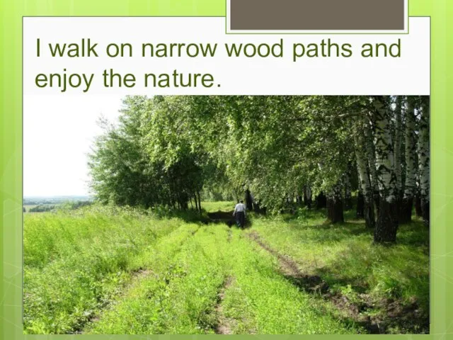 I walk on narrow wood paths and enjoy the nature.