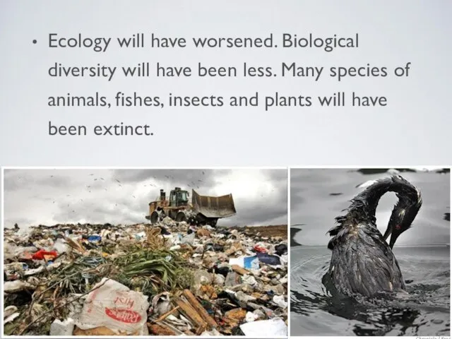 Ecology will have worsened. Biological diversity will have been less. Many species