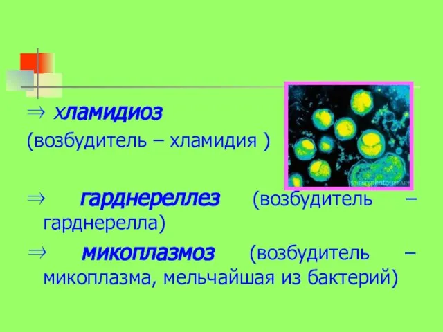 ⇒ хламидиоз (возбудитель – хламидия ) ⇒ гарднереллез (возбудитель – гарднерелла) ⇒