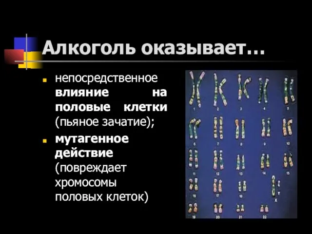 Алкоголь оказывает… непосредственное влияние на половые клетки (пьяное зачатие); мутагенное действие (повреждает хромосомы половых клеток)