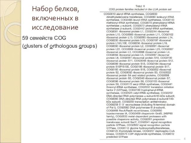 Набор белков, включенных в исследование 59 семейств COG (clusters of orthologous groups)