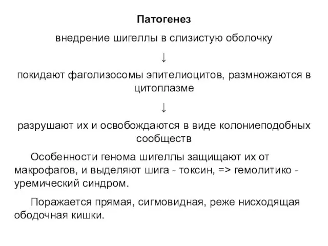 Патогенез внедрение шигеллы в слизистую оболочку ↓ покидают фаголизосомы эпителиоцитов, размножаются в