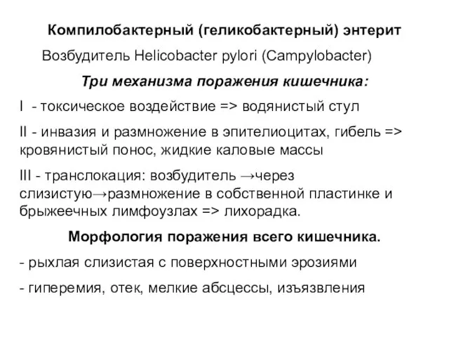 Компилобактерный (геликобактерный) энтерит Возбудитель Helicobacter pylori (Campylobacter) Три механизма поражения кишечника: I