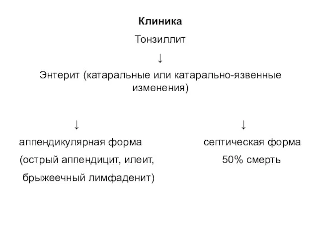 Клиника Тонзиллит ↓ Энтерит (катаральные или катарально-язвенные изменения) ↓ ↓ аппендикулярная форма