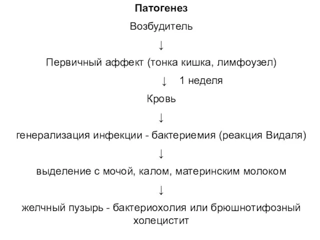 Патогенез Возбудитель ↓ Первичный аффект (тонка кишка, лимфоузел) ↓ 1 неделя Кровь