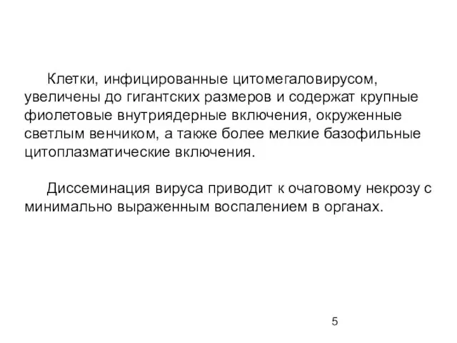 Клетки, инфицированные цитомегаловирусом, увеличены до гигантских размеров и содержат крупные фиолетовые внутриядерные