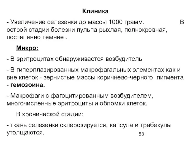 Клиника - Увеличение селезенки до массы 1000 грамм. В острой стадии болезни