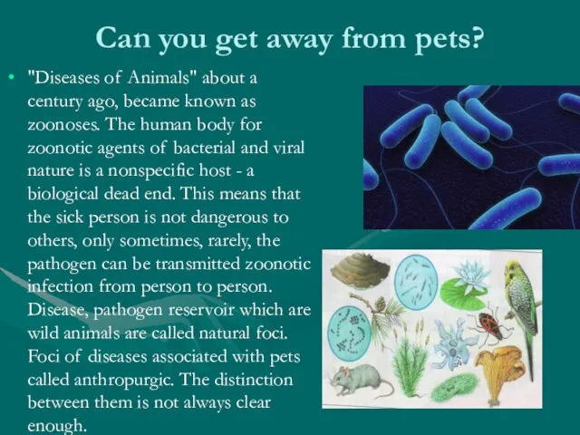 Can you get away from pets? "Diseases of Animals" about a century