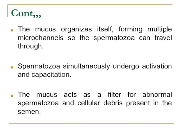 Cont,,, The mucus organizes itself, forming multiple microchannels so the spermatozoa can