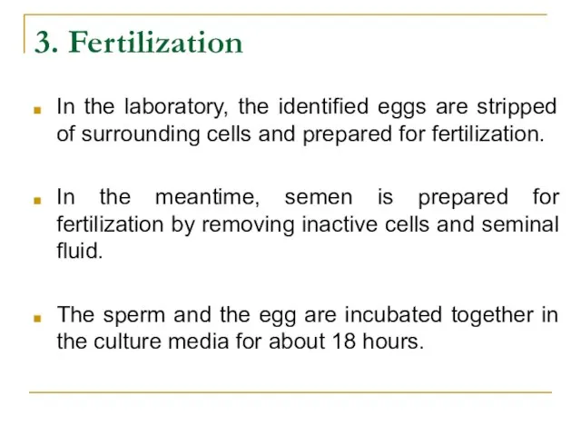 3. Fertilization In the laboratory, the identified eggs are stripped of surrounding