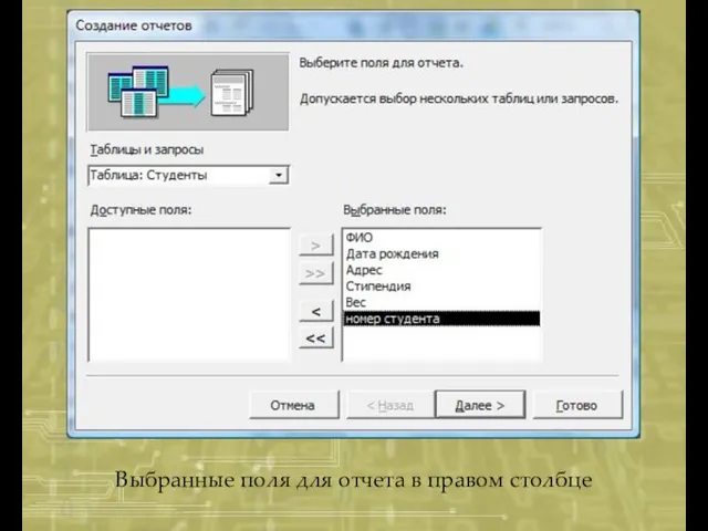 Выбранные поля для отчета в правом столбце