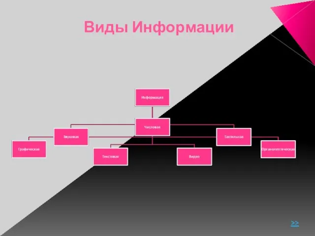 Виды Информации >>