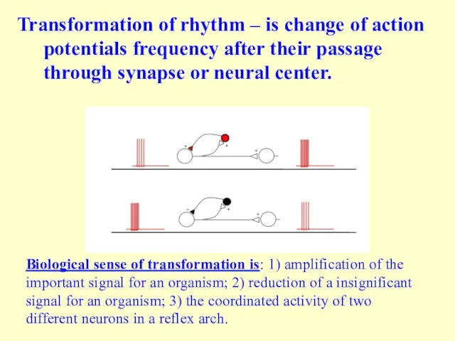 Transformation of rhythm – is change of action potentials frequency after their