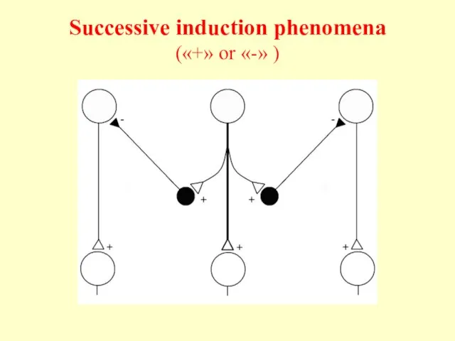 Successive induction phenomena («+» or «-» )