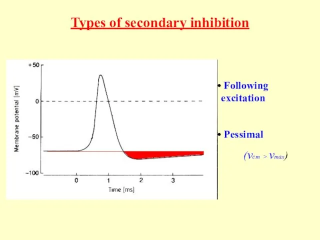 Types of secondary inhibition Following excitation Pessimal (νст > νmax)