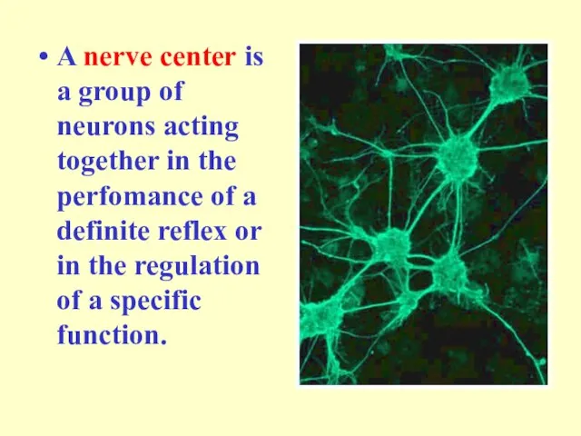 A nerve center is a group of neurons acting together in the