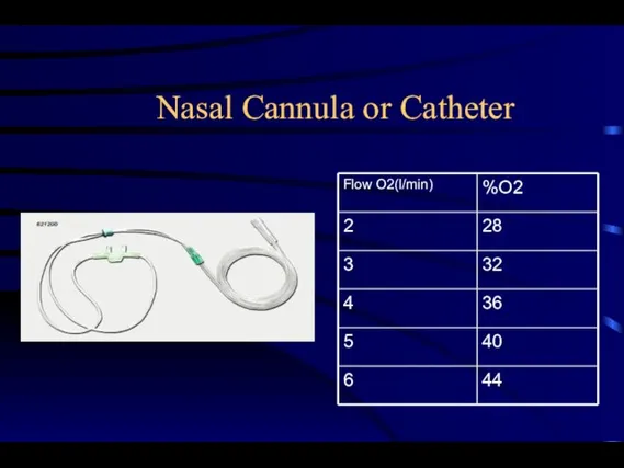 Nasal Cannula or Catheter