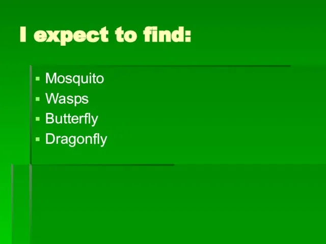 I expect to find: Mosquito Wasps Butterfly Dragonfly