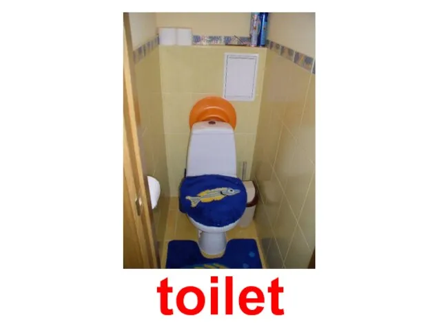 toilet