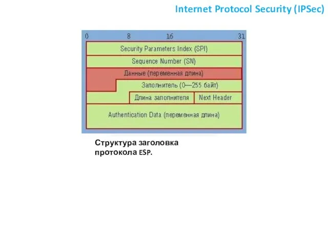 Internet Protocol Security (IPSec) Структура заголовка протокола ESP.