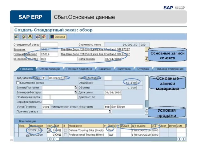 Сбыт.Основные данные Основные записи клиента Основные записи материала Условия продажи
