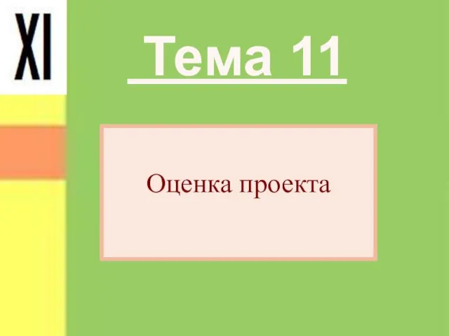 Тема 11 Оценка проекта