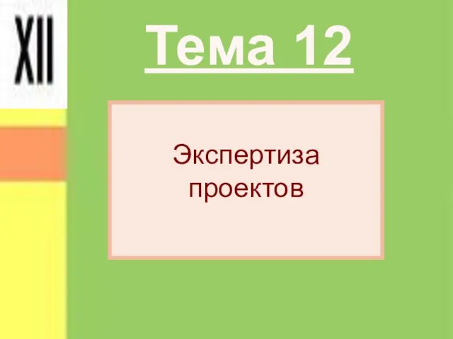 Экспертиза проектов Тема 12