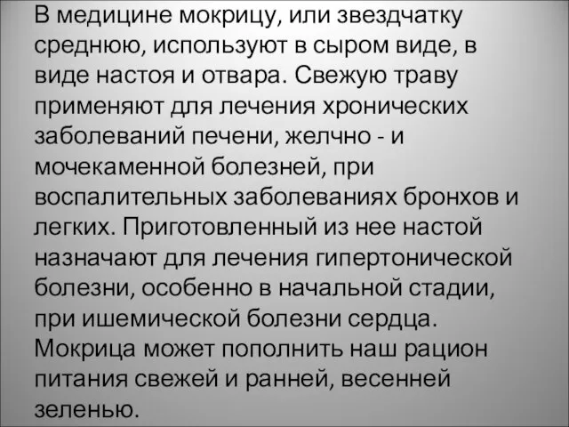 В медицине мокрицу, или звездчатку среднюю, используют в сыром виде, в виде