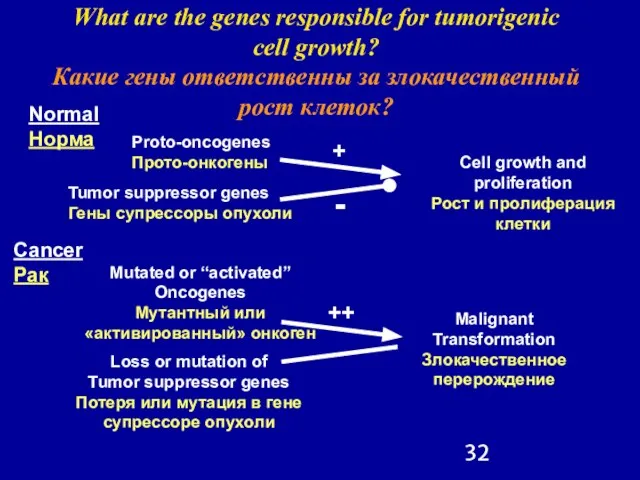 What are the genes responsible for tumorigenic cell growth? Какие гены ответственны