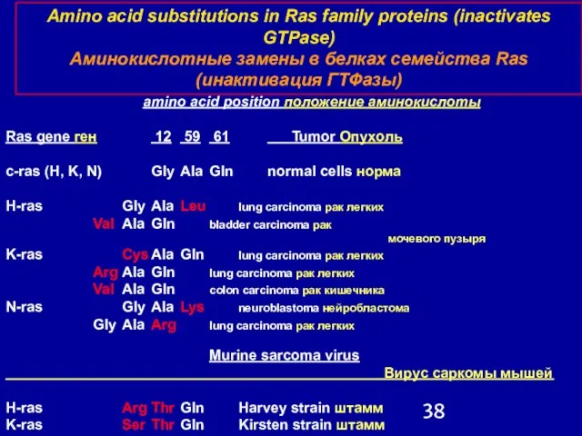 amino acid position положение аминокислоты Ras gene ген 12 59 61 Tumor