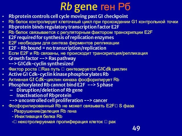 Rb gene ген Рб Rb protein controls cell cycle moving past G1