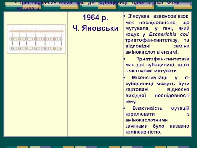 З’ясував взаємозв’язок між послідовністю, що мутувала, у гені, який кодує у Escherichia