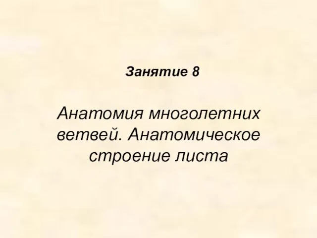 Анатомия многолетних ветвей. Анатомическое строение листа Занятие 8