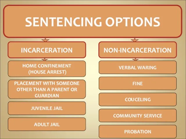 SENTENCING OPTIONS INCARCERATION NON-INCARCERATION HOME CONFINEMENT (HOUSE ARREST) PLACEMENT WITH SOMEONE OTHER
