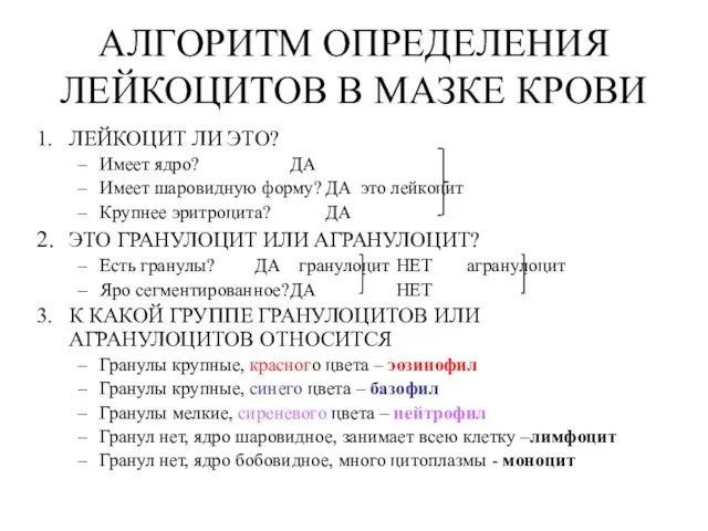 АЛГОРИТМ ОПРЕДЕЛЕНИЯ ЛЕЙКОЦИТОВ В МАЗКЕ КРОВИ ЛЕЙКОЦИТ ЛИ ЭТО? Имеет ядро? ДА