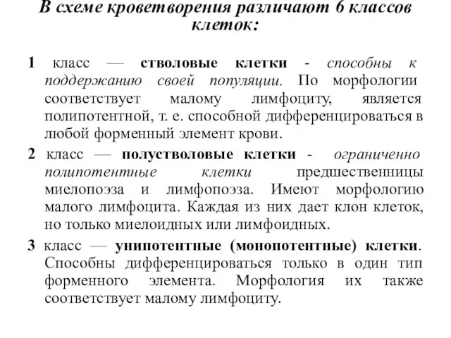 В схеме кроветворения различают 6 классов клеток: 1 класс — стволовые клетки