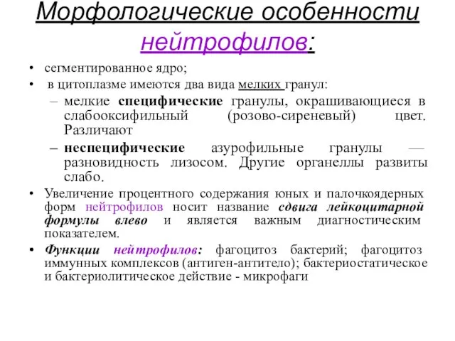 Морфологические особенности нейтрофилов: сегментированное ядро; в цитоплазме имеются два вида мелких гранул: