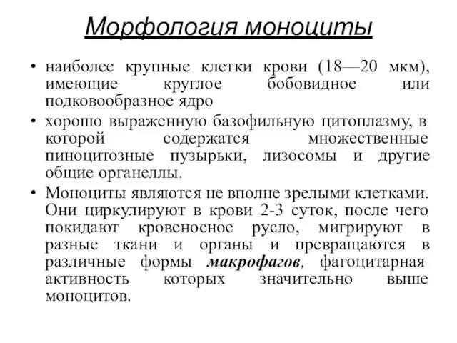 Морфология моноциты наиболее крупные клетки крови (18—20 мкм), имеющие круглое бобовидное или