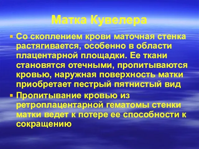 Матка Кувелера Со скоплением крови маточная стенка растягивается, особенно в области плацентарной