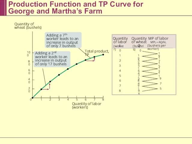 Production Function and TP Curve for George and Martha’s Farm 0 1