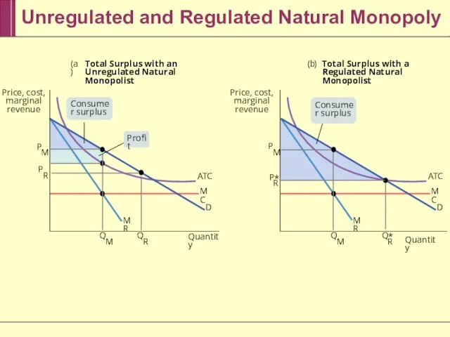 Unregulated and Regulated Natural Monopoly (a) Total Surplus with an Unregulated Natural