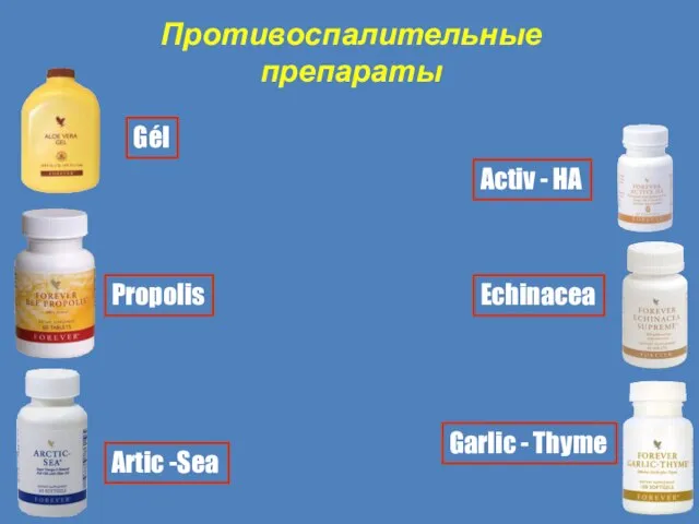 Echinacea Garlic - Thyme Propolis Artic -Sea Gél Activ - HA Противоспалительные препараты