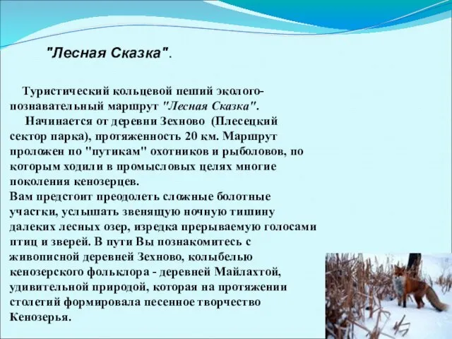 Туристический кольцевой пеший эколого-познавательный маршрут "Лесная Сказка". Начинается от деревни Зехново (Плесецкий