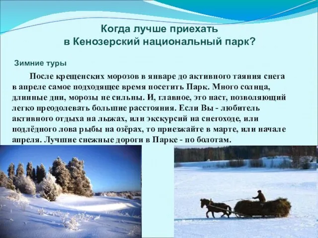 Когда лучше приехать в Кенозерский национальный парк? Зимние туры После крещенских морозов