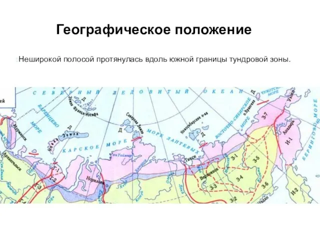 Неширокой полосой протянулась вдоль южной границы тундровой зоны. Географическое положение